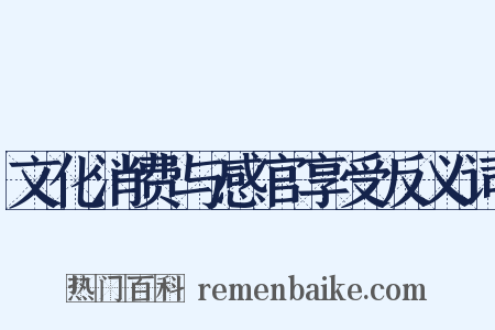 文化消费与感官享受反义词是什么意思的图片
